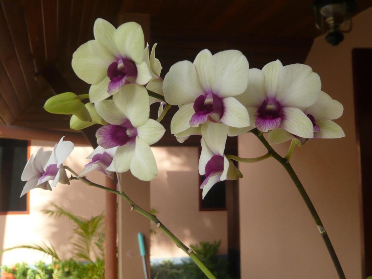 The Pace Phuket Boutique Resort Rawai Ngoại thất bức ảnh