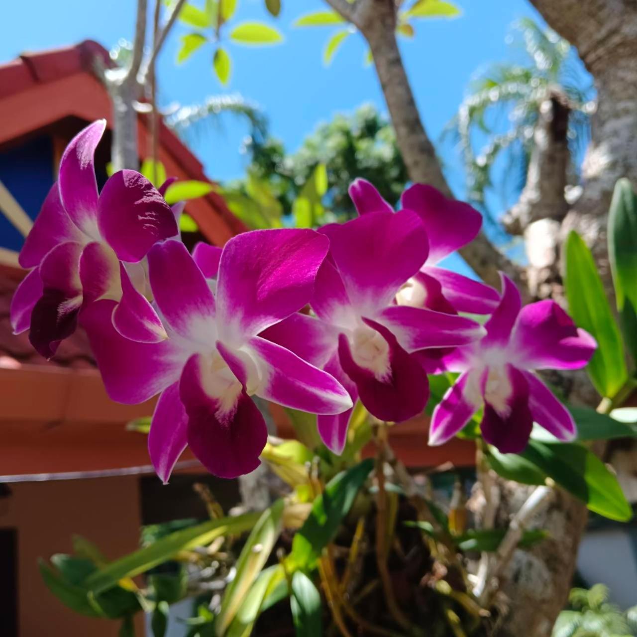 The Pace Phuket Boutique Resort Rawai Ngoại thất bức ảnh